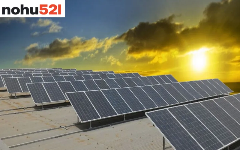 Tấm pin năng lượng mặt trời thế hệ mới đạt hiệu suất cao hơn